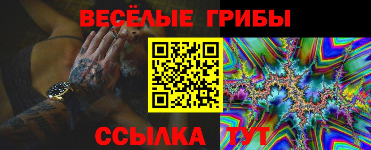 где найти наркотики  Галлюциногенные грибы GOLDEN TEACHER  Вход с VPN  Конаково 